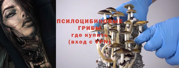 jwh Беломорск