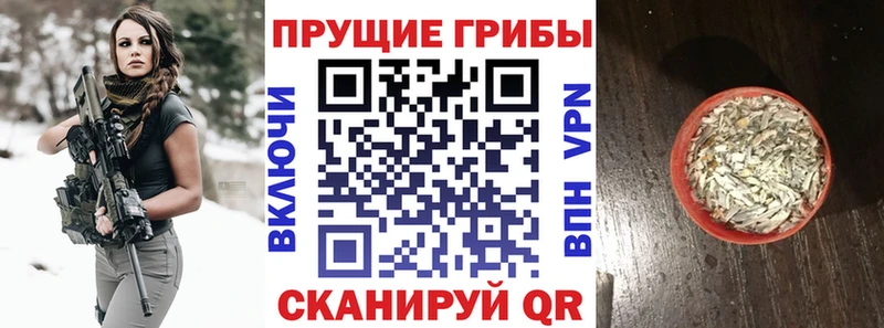 наркотики Трёхгорный Псилоцибиновые грибы мухоморы